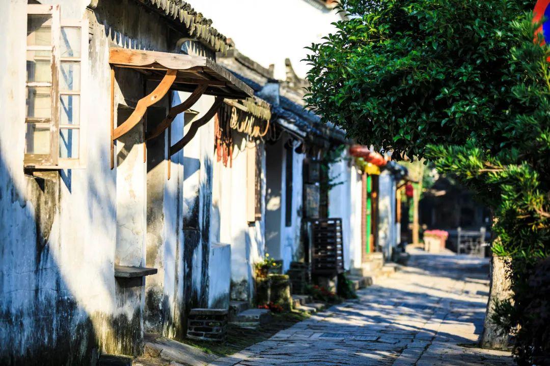 探索知识星球平台,笔趣读小说网app下载引领未来智慧分享